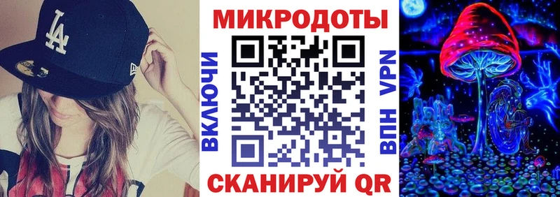 Галлюциногенные грибы Psilocybine cubensis  Купить где  Арамиль 